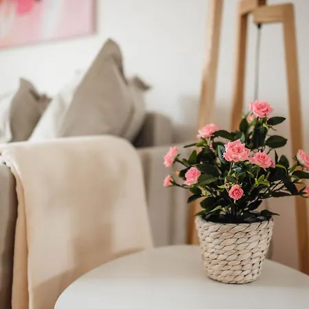 White - Free Parking * ليوبليانا