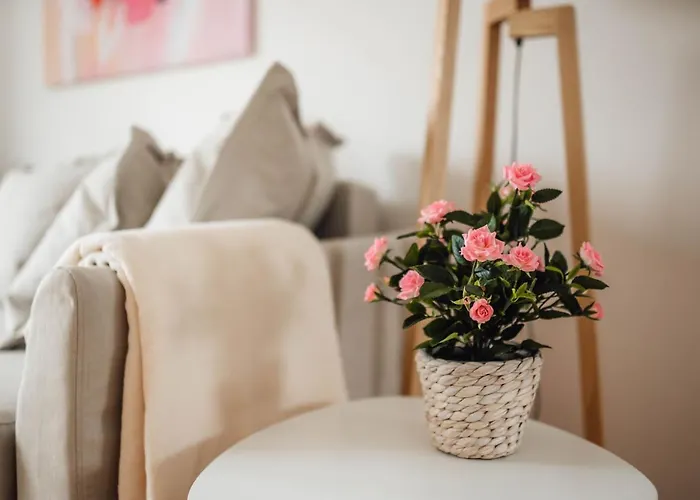 White - Free Parking * 류블랴나