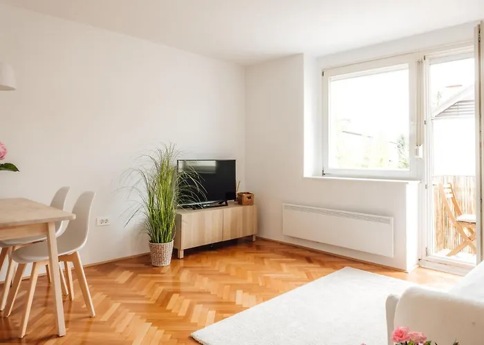 White - Free Parking 류블랴나